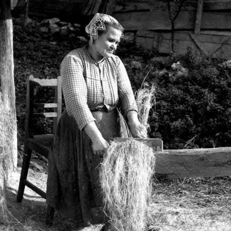 Lámanie konopy v drevenom žľabe piestom. Krakovany (okr. Piešťany), 1954. Prevzaté z Bartošová, A. : Príspevok k slovenskému ľudovému tkaniu a jeho technológii. In: Slovenský ľudový textil. Tkaniny – výšivky – čipky – kroje. Martin 1957, obr. 2.