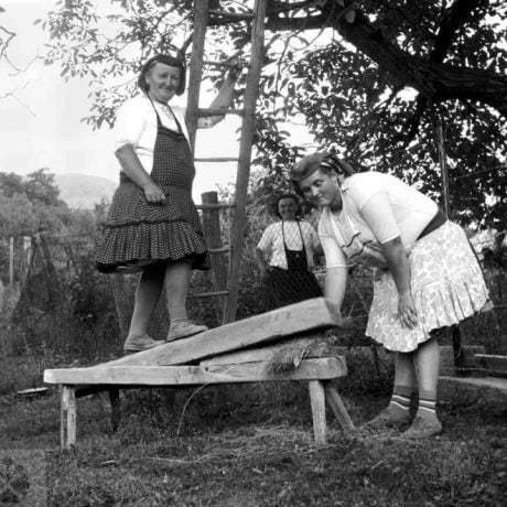 Lámanie konopy stupou poháňanou ľudskou silou. Stredné Plachtince (okr. Veľký Krtíš), 1974. Archív negatívov Ústavu etnológie SAV v Bratislave. Foto J. Paličková-Pátková.