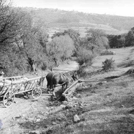 Napájadlo pre dobytok pri ceste. Madačka (miestna časť obce Ábelová, okr. Lučenec), 1979. Archív negatívov Ústavu etnológie SAV v Bratislave. Foto J. Botík.