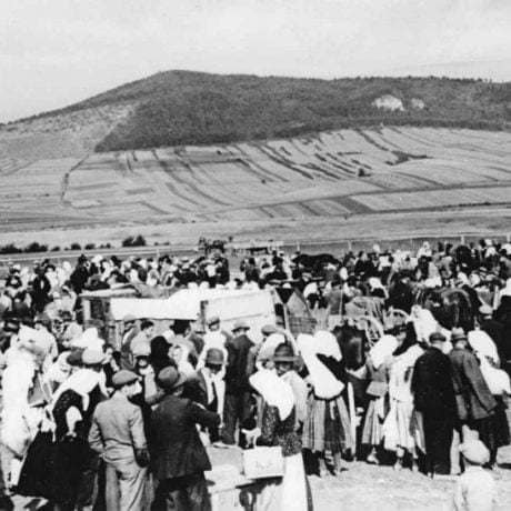 Obchodný ruch na dobytčom jarmoku. Rajec (okr. Žilina). 1. polovica 20. storočia. Archív Slovenského národného múzea Martin. Foto: K. Stráňai.
