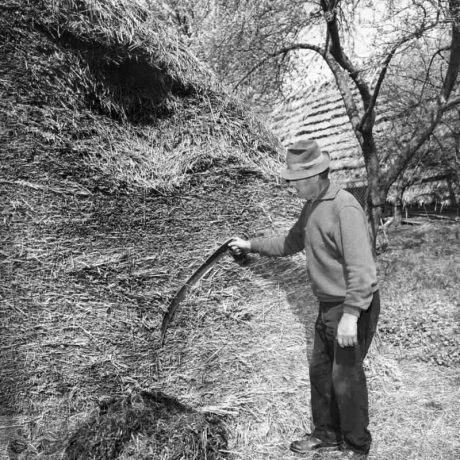 Odrezávanie slamy zo stohu. Modra nad Cirochou (okr. Humenné), 1976. SNM – Etnografické múzeum v Martine. Foto J. Dérer.