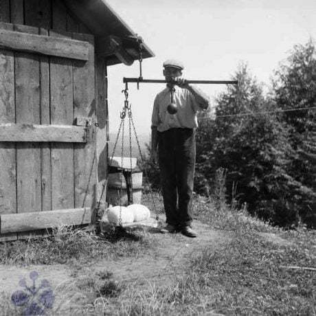 Váženie syra. Kyjatice, okr. Rimavská Sobota. Archív negatívov Ústav etnológie SAV. Foto F. Hideg, 1960.
